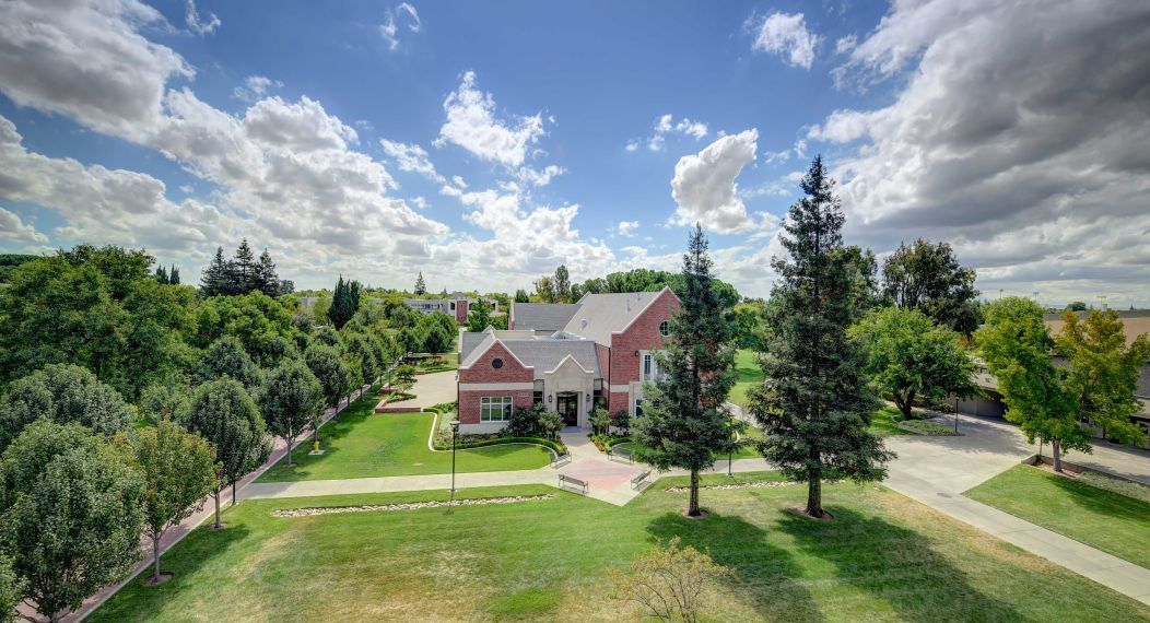 Campus Beauty - Vereschagin Spring